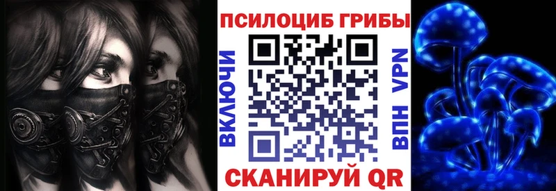 Галлюциногенные грибы Cubensis Медногорск